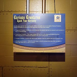 Akron Zoo - Curious Creatures entrance sign