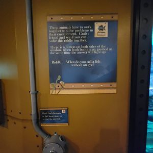 Akron Zoo - Curious Creatures, work together to solve problems