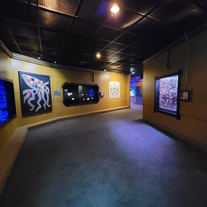Akron Zoo - Curious Creatures, Giant Pacific octopus on left, moon jellies ahead, giant prickly stick insect on right