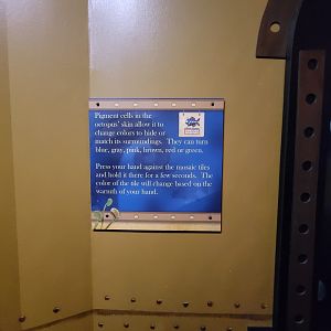 Akron Zoo - Curious Creatures, change the color of the tiles with your hands, like an octopus changes pigment