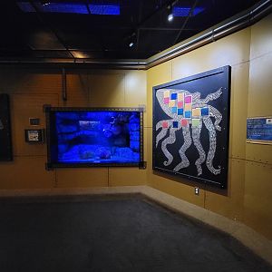 Akron Zoo - Curious Creatures, GPO exhibit and color-changing mosaic