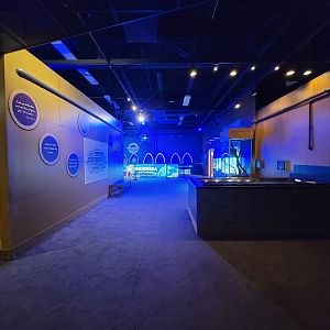 Akron Zoo - Curious Creatures, former touch table, VR station