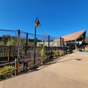 Akron Zoo - Sumatran tiger exhibit