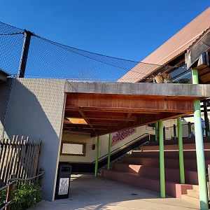Akron Zoo - Sumatran tiger exhibit