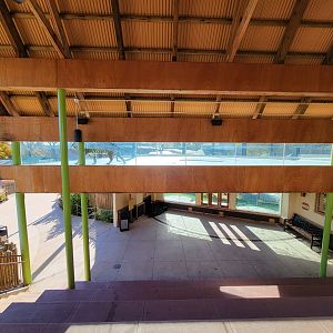 Akron Zoo - Sumatran tiger exhibit, upper area of seated viewing