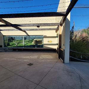 Akron Zoo - Sumatran tiger second exhibit