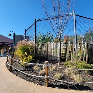 Akron Zoo - Sumatran tiger second exhibit