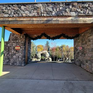 Akron Zoo - Red pandas