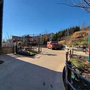 Akron Zoo - View back to Sumatran tigers