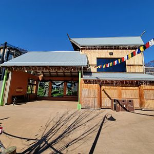 Akron Zoo - White-cheeked gibbon exhibit