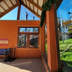 Akron Zoo - White-cheeked gibbon exhibit