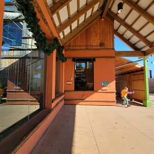 Akron Zoo - White-cheeked gibbon exhibit
