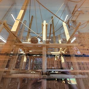 Akron Zoo - White-cheeked gibbon exhibit