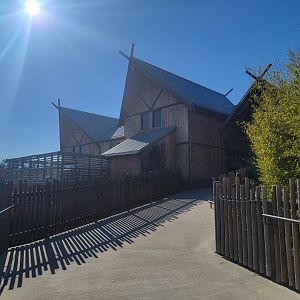 Akron Zoo - White-cheeked gibbon exhibit