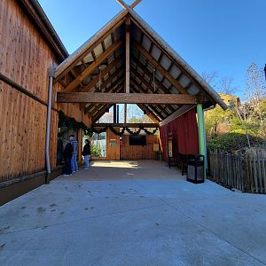 Akron Zoo - White-cheeked gibbon exhibit