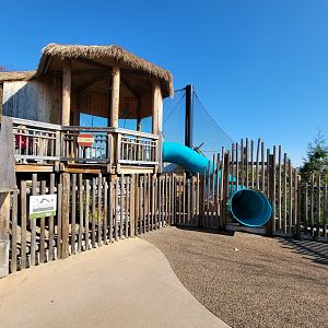 Akron Zoo - White-cheeked gibbon exhibit, uppermost viewing with slide