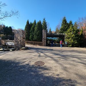 Akron Zoo - Bald Eagles