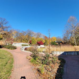 Akron Zoo - Zoo gardens