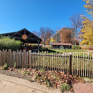 Akron Zoo - Very small train ride