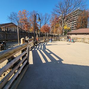 Akron Zoo - Goat petting boma area