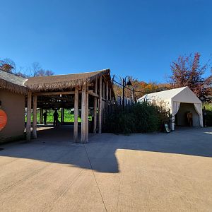 Akron Zoo - Lion viewing areas