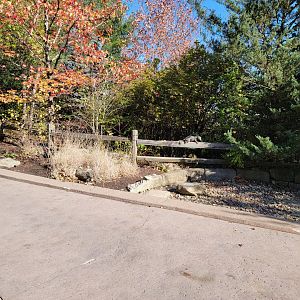 Akron Zoo - Opossum statue on fence