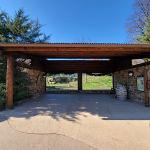 Akron Zoo - Red wolf main viewing