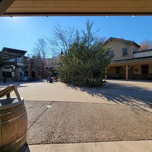 Akron Zoo - Grizzly Ridge rotunda