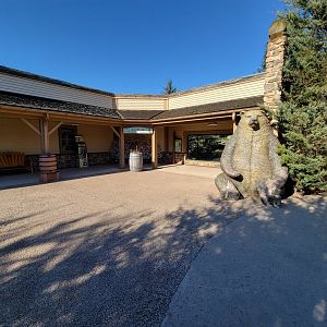 Akron Zoo - Red Wolf viewing
