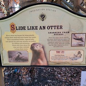 Akron Zoo - Slide like an otter!