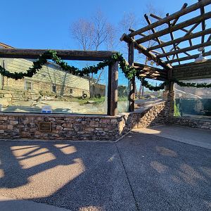 Akron Zoo - North American river otter exhibit