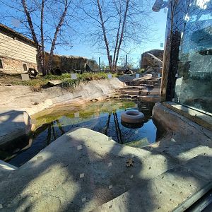 Akron Zoo - North American river otter exhibit