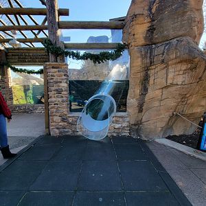 Akron Zoo - Clear slide through otters' water