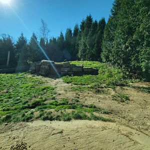 Akron Zoo - Grizzly bears upper viewing