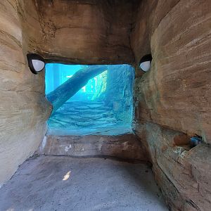 Akron Zoo - Another otter viewing window