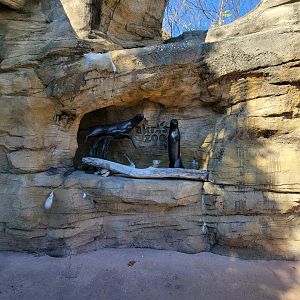 Akron Zoo - North American river otter statue