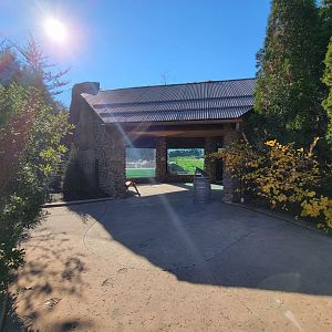 Akron Zoo - Lower grizzly bear viewing