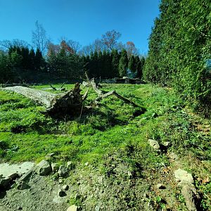 Akron Zoo - Grizzly bear exhibit from lower windows