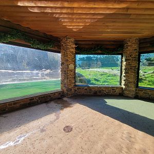 Akron Zoo - Grizzly bear lower viewing windows