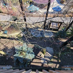 Akron Zoo - Native aviary