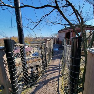 Akron Zoo - Native aviary
