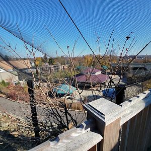 Akron Zoo - Native aviary, view of carousel from above