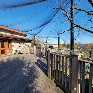 Akron Zoo - Native aviary