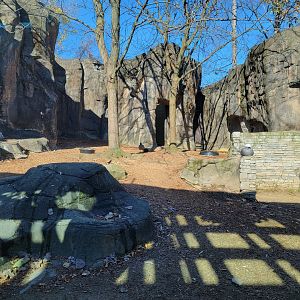 Akron Zoo - Exhibit next to snow leopards, holding Emperor goose on my visit