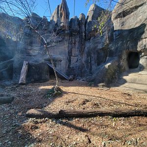 Akron Zoo - Snow leopard exhibit