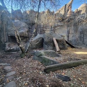 Akron Zoo - Snow leopard exhibit