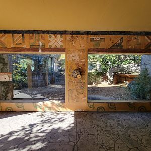 Akron Zoo - Patagonian mara