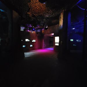 Akron Zoo - Inside bat building