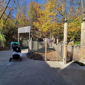 Akron Zoo - Play bridge area