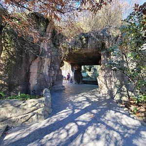 Akron Zoo - Jaguar exhibit